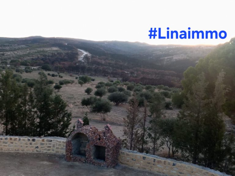 760340 20260419 104953 768x576