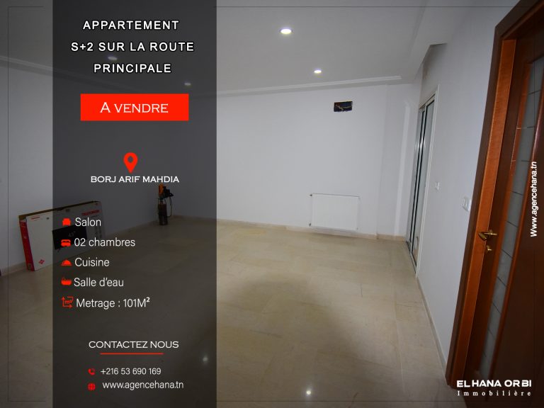 S2 &agrave; borj arif mahdia neuf