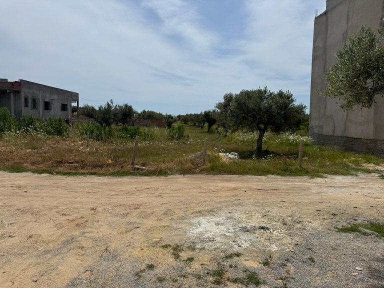 766211 20260413 183700 768x576