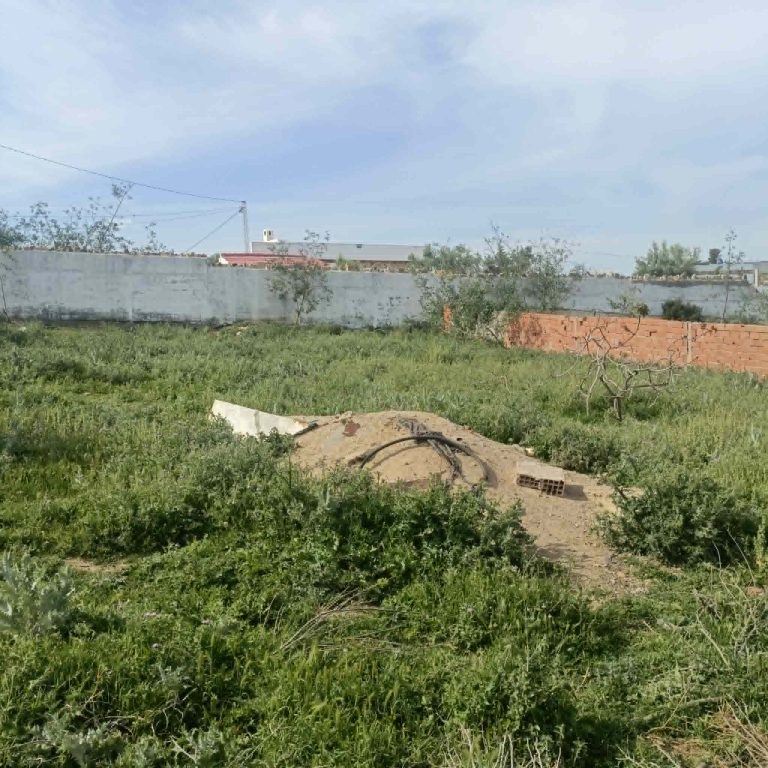 770319 20260410 145000 768x768