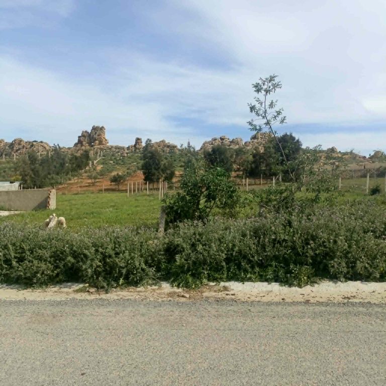 Terrain 750m &agrave; monchar hammamet sud