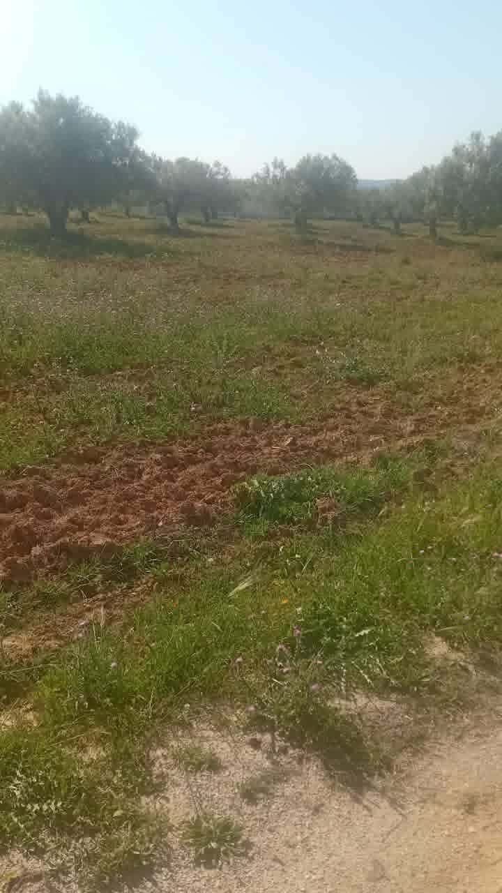 770319 20260422 124722