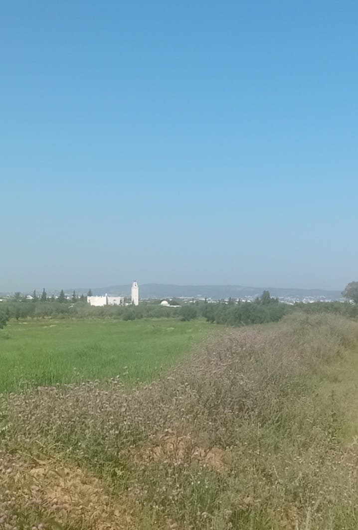 Av beau terrain de 1000m &agrave; hammamet sud