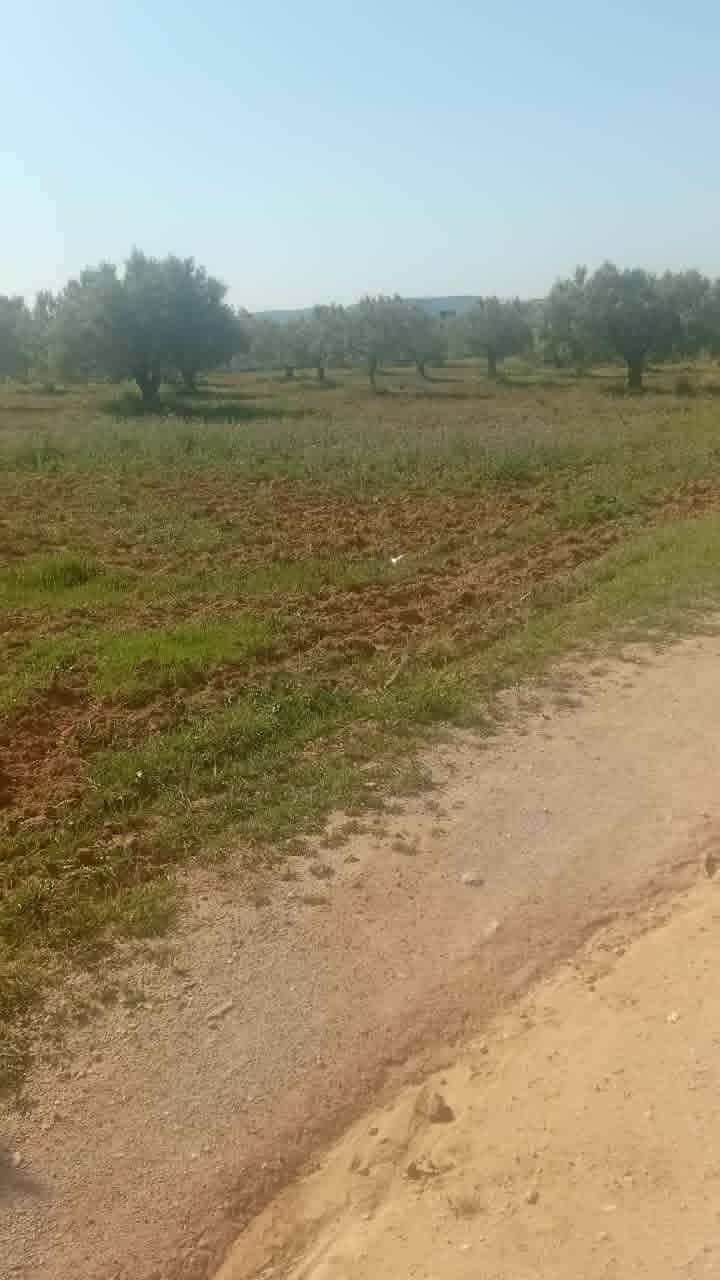 Av beau terrain de 1000m &agrave; hammamet sud