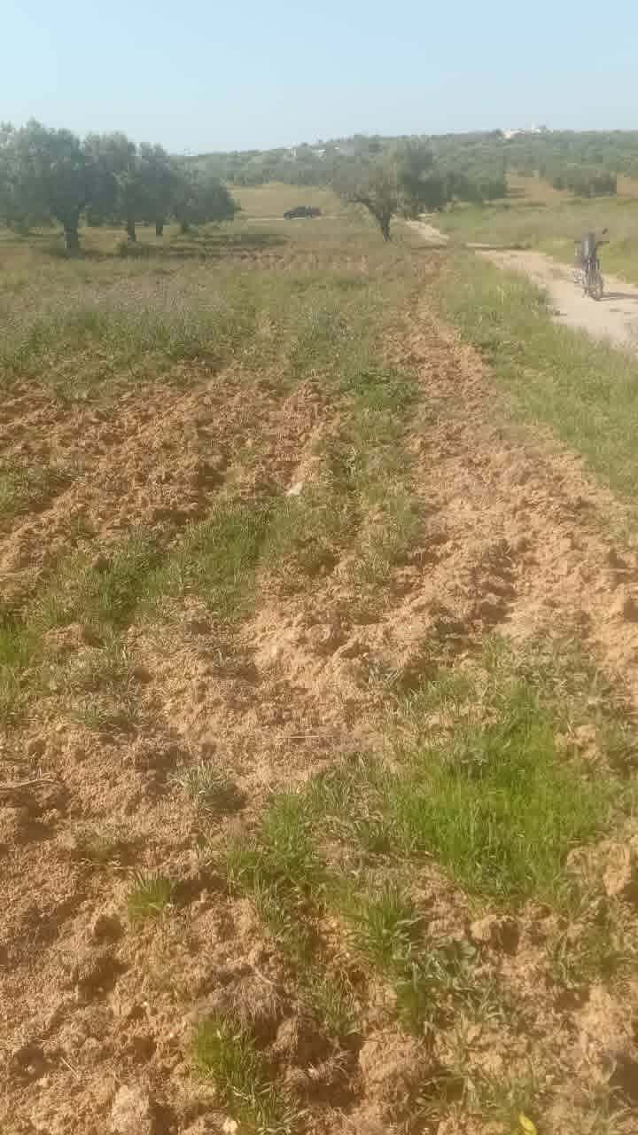 Av beau terrain de 1000m &agrave; hammamet sud