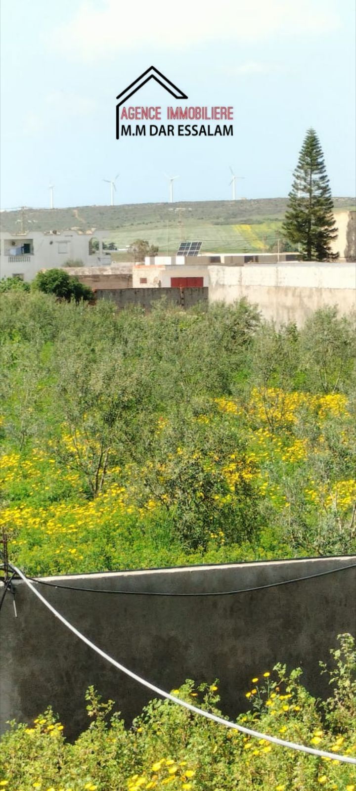 Terrain agricole contenant une villa