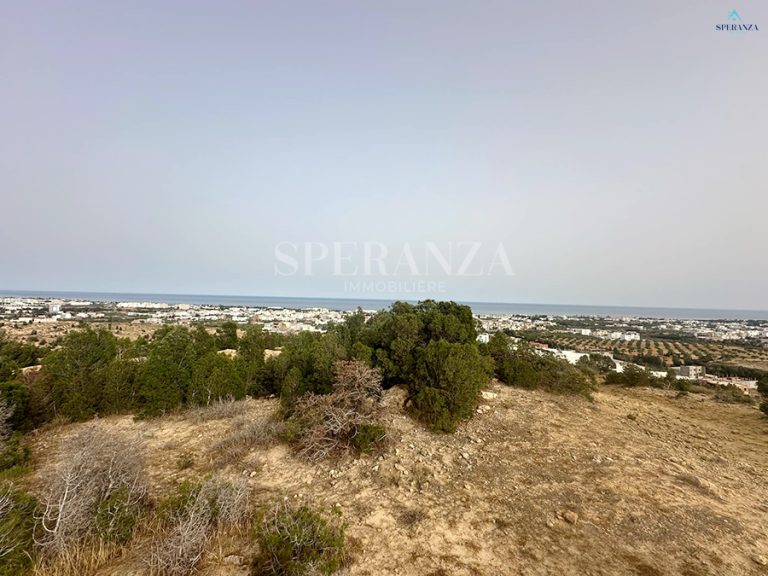 778440 20260406 180205 768x576