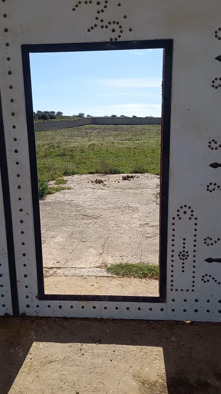 Terrain &agrave; hammamet 8200m