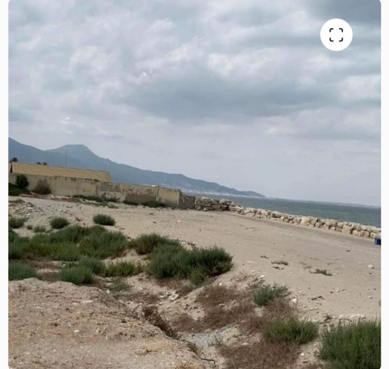 786151 20260412 151721 768x729