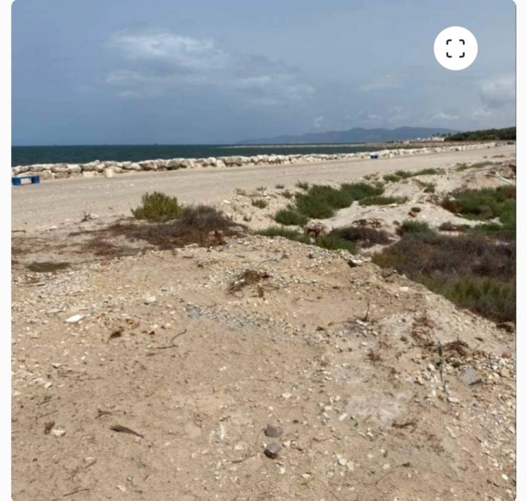 Terrain pied dans l'eau