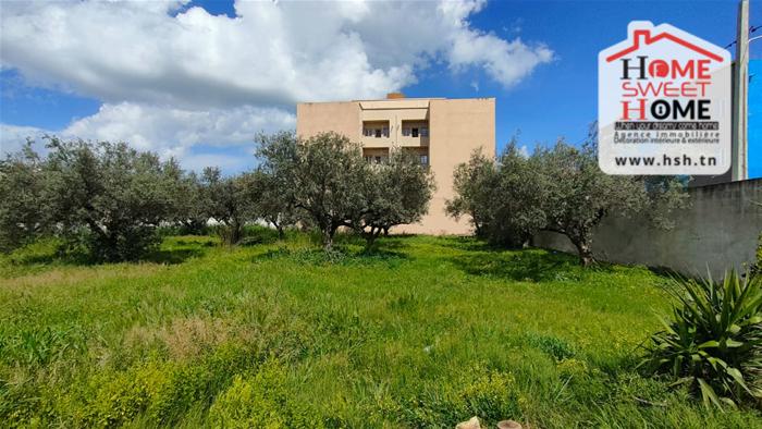 788636 20260402 131427