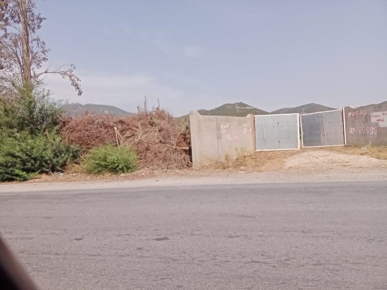 791911 20260422 110058 768x576