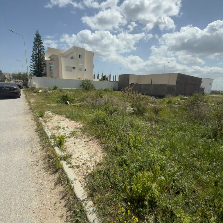 793146 20260422 124345 768x768