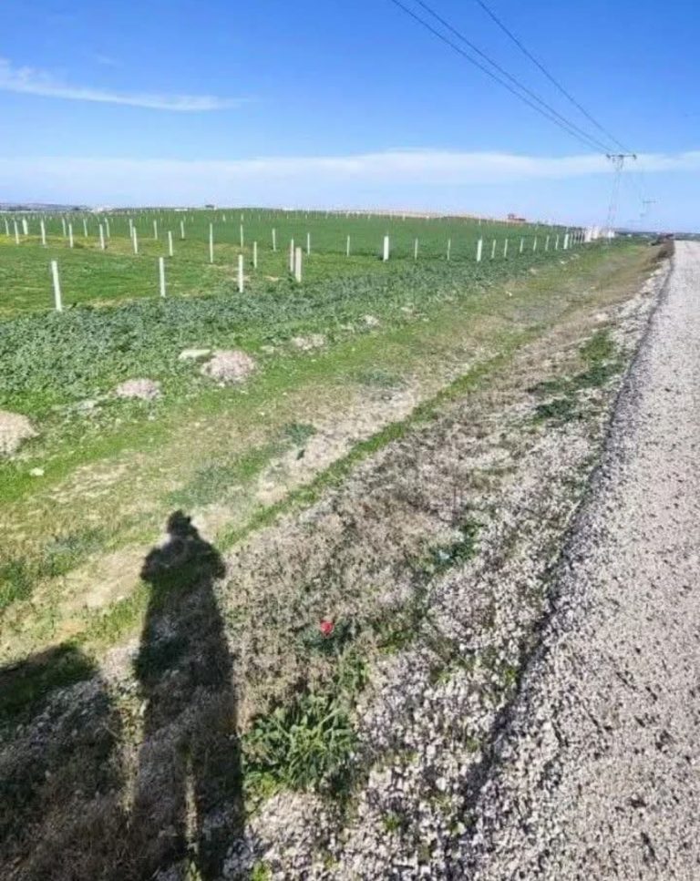 Terrain habitat unique