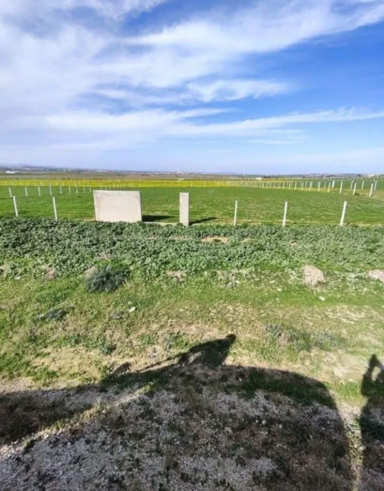 Terrain habitat unique