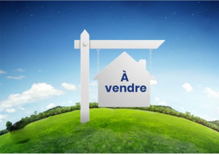 793802 20260408 102120 768x545