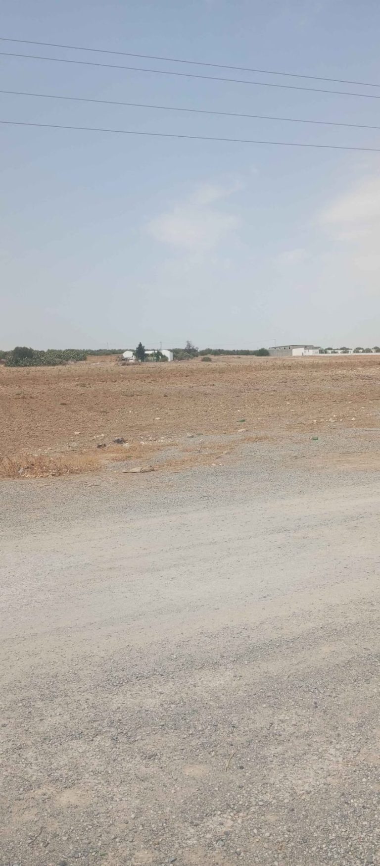 793815 20260416 231808 768x1749