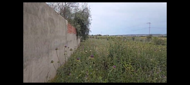 Un beau terrain situ&eacute; &agrave; sidi younes
