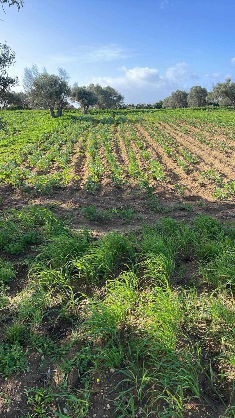 85270 20260414 095032 768x1366