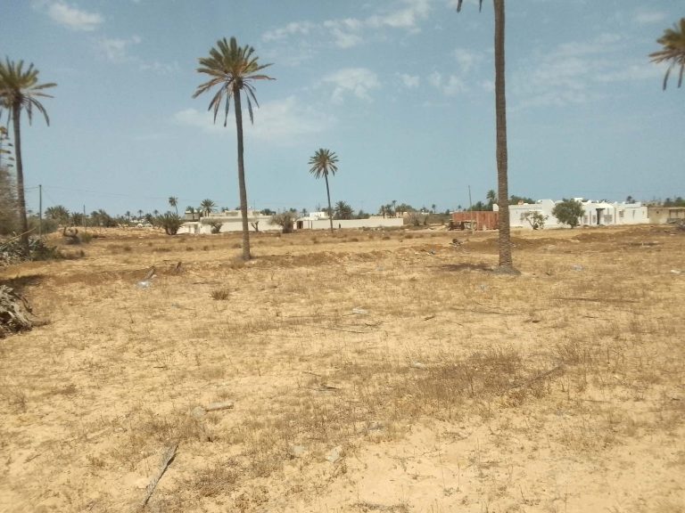 Tr&egrave;s jolie lot de terrain nu a jerba midoun