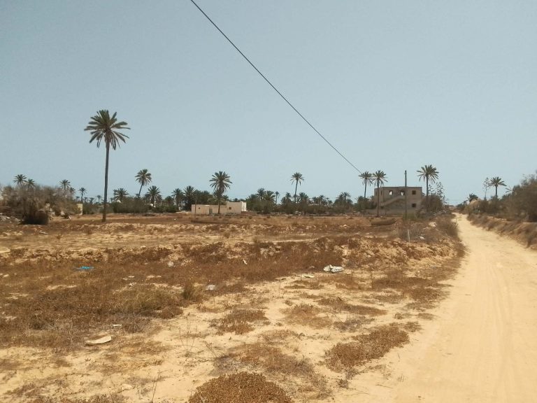 Tr&egrave;s jolie lot de terrain nu a jerba midoun