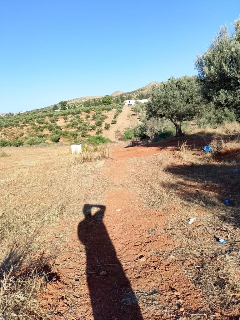 Terrain de 1 hectare &agrave; sidi thabet jabbes