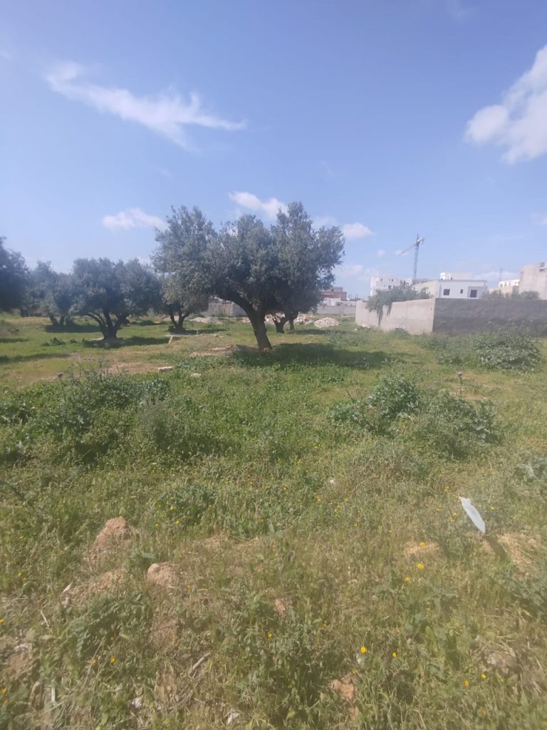 Un lot de terrain de 460m2 &agrave; mannouba