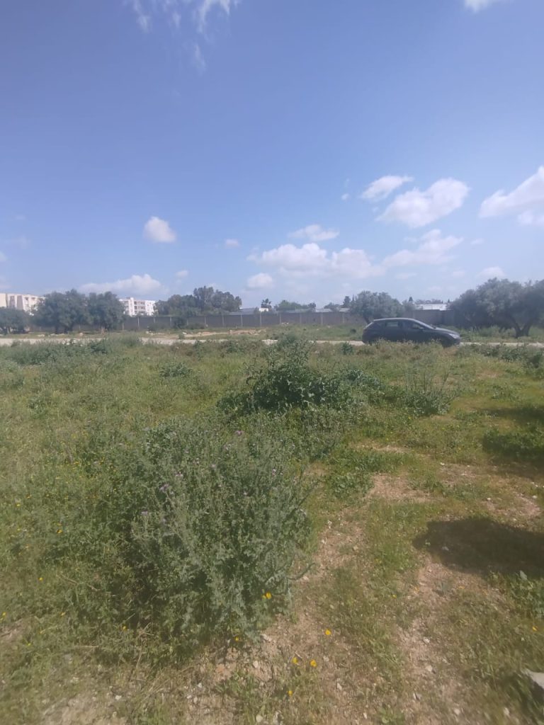 Un lot de terrain de 460m2 &agrave; mannouba