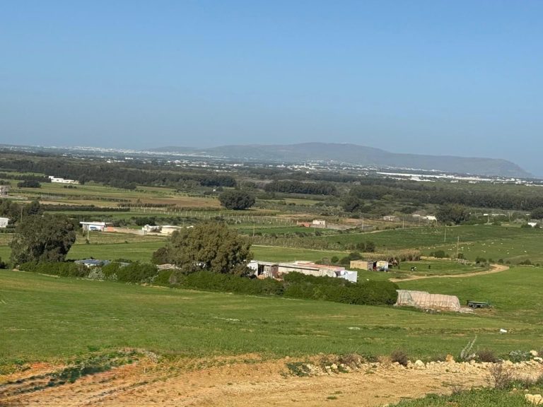Terrain azmourr