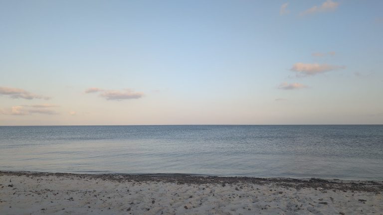 765282 20260429 222204 768x432