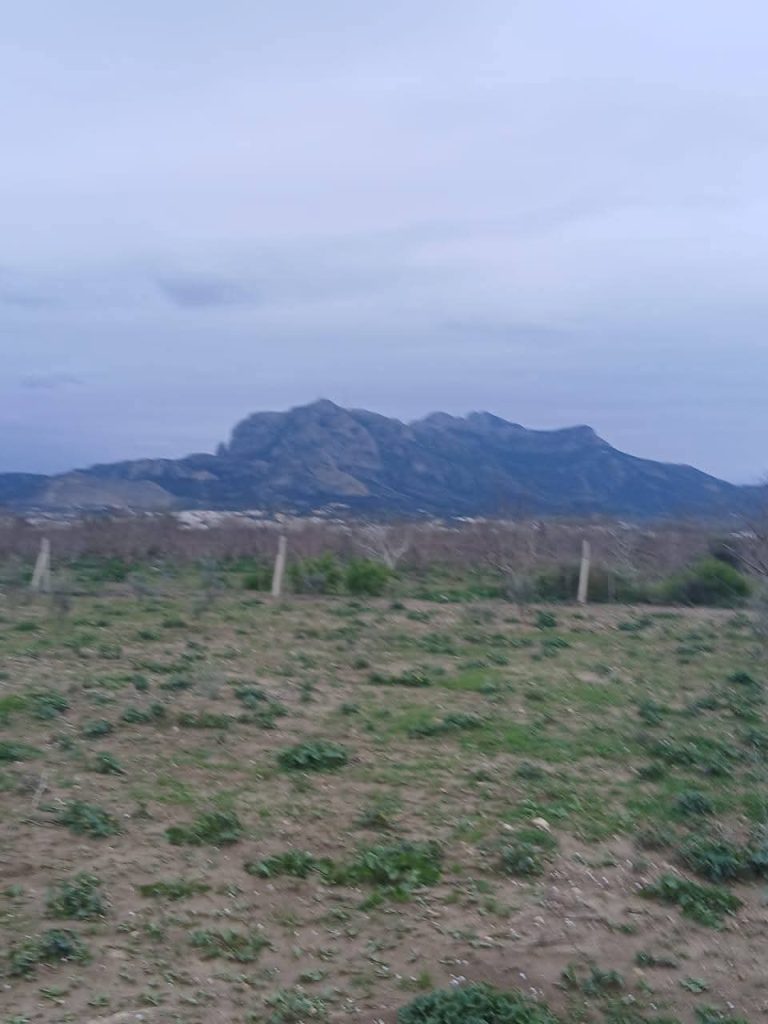 Terrain agricole 5000 m avec une petite maison