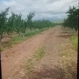 6 hectares goutte a goutte