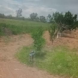 6 hectares goutte a goutte
