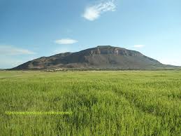 Terrains agricoles a eddachra et ras el kef