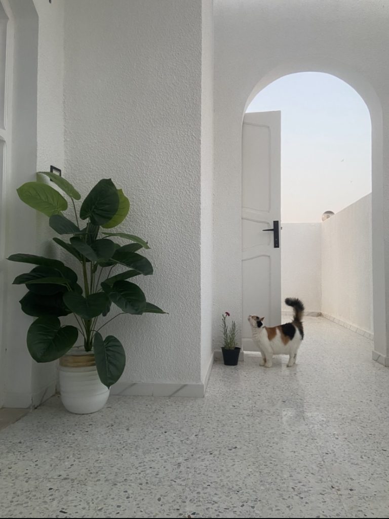 Villa &agrave; sousse