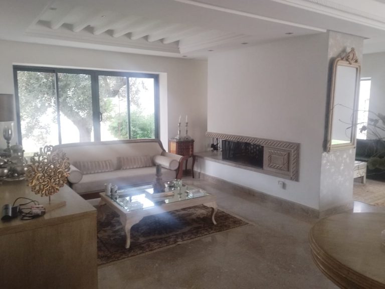 Une superbe villa &agrave; borj touil