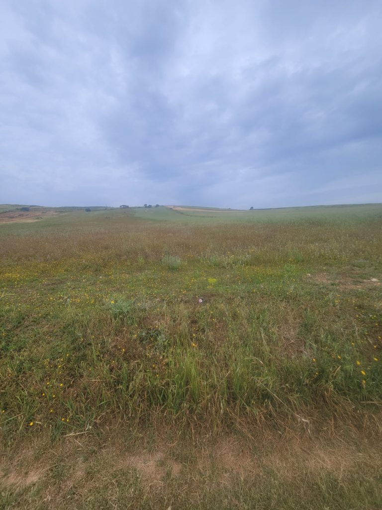 Terrain agricole &agrave; bachateur