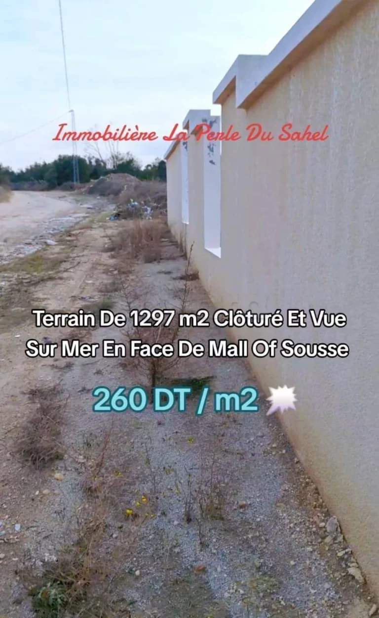 390808 20260630 111548 768x1250