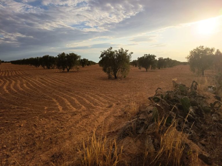 9 hectares a ahj guessem