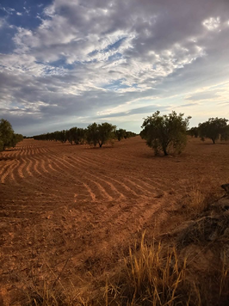 9 hectares a ahj guessem