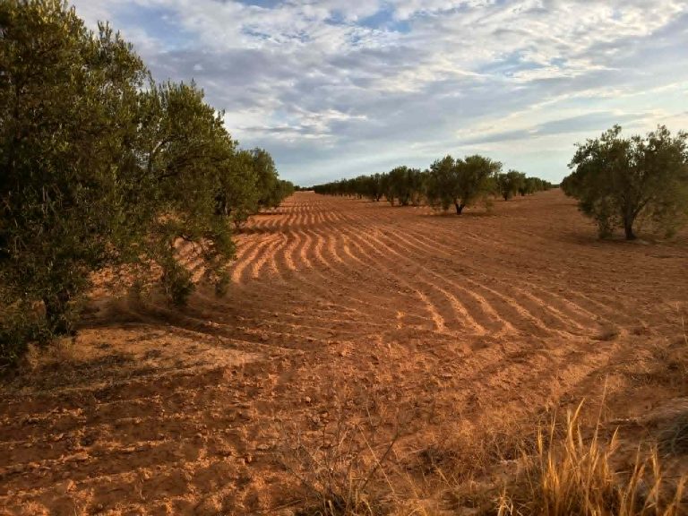 9 hectares a ahj guessem