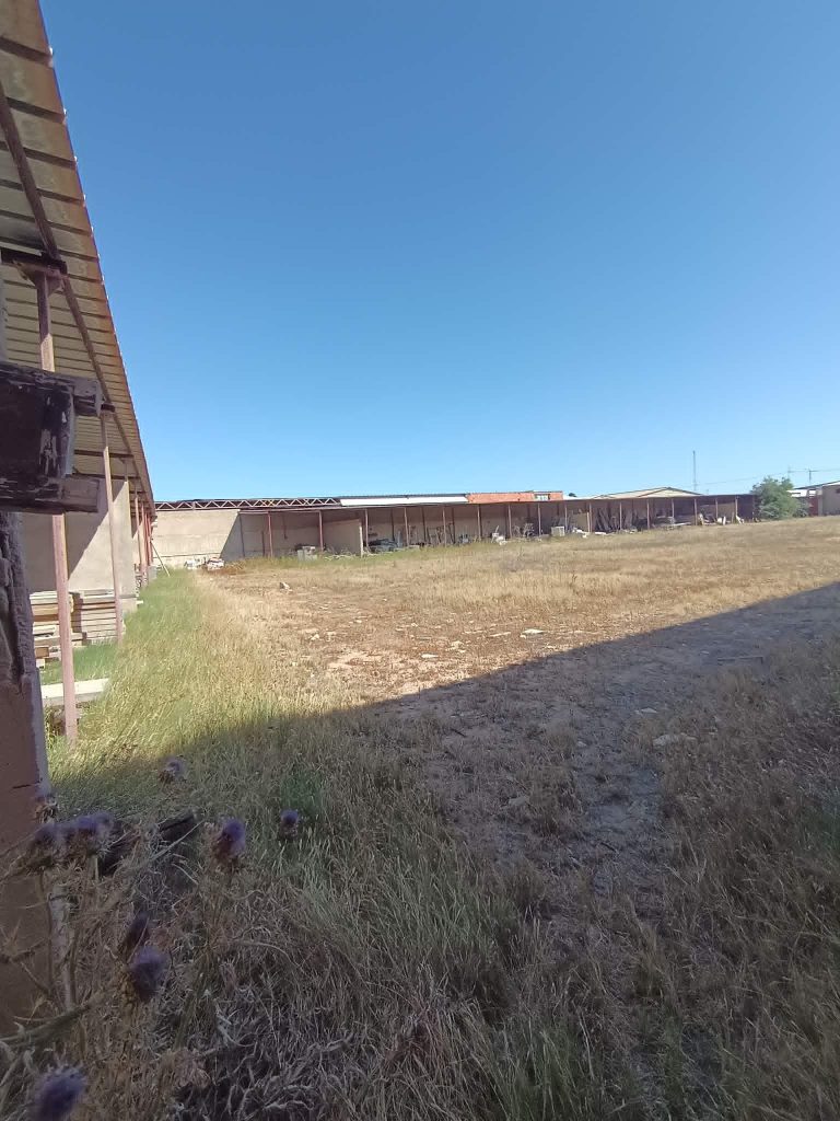 Depot avec charpente