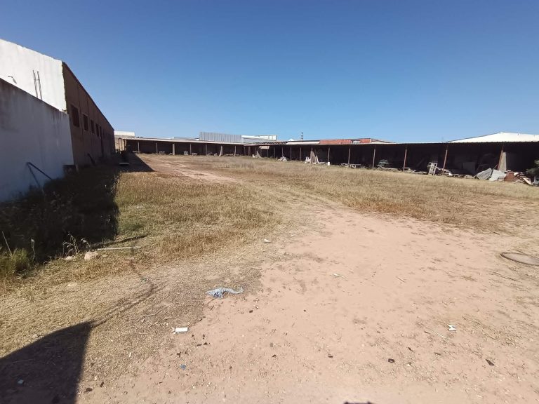 Depot avec charpente