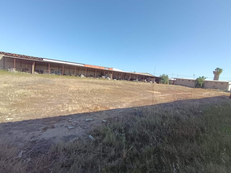 Depot avec charpente
