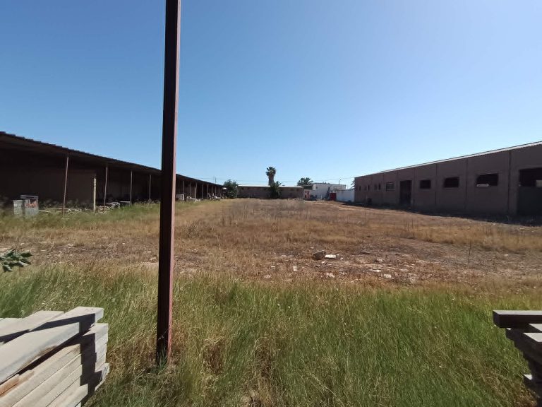 Depot avec charpente