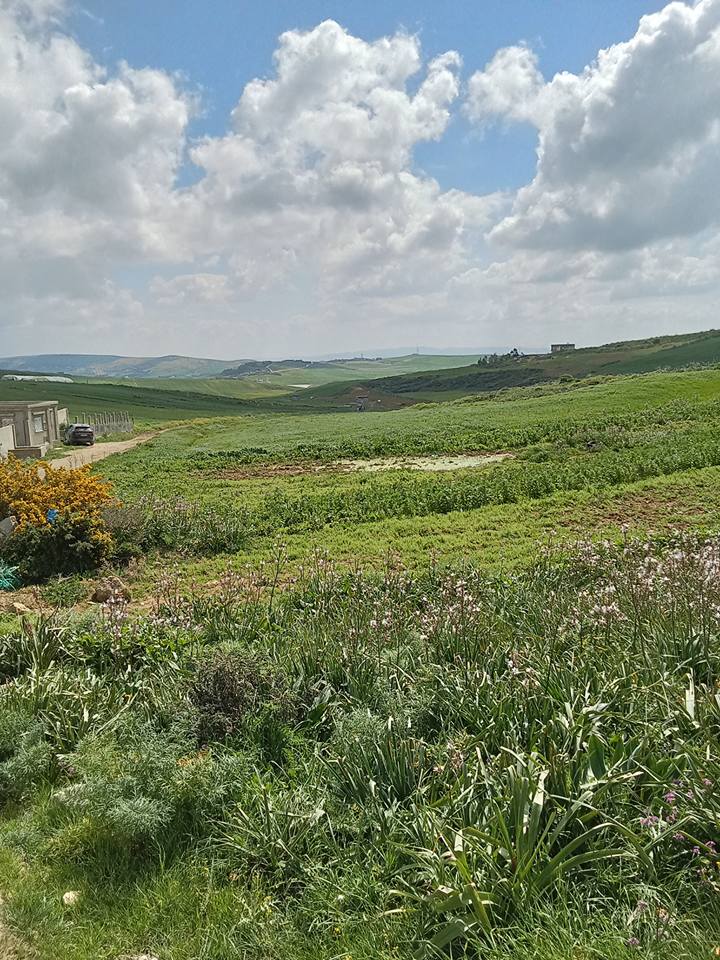 Terrain a vende a bechateur
