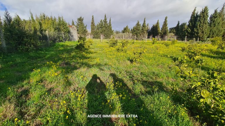 Campagne &agrave; ghardaya
