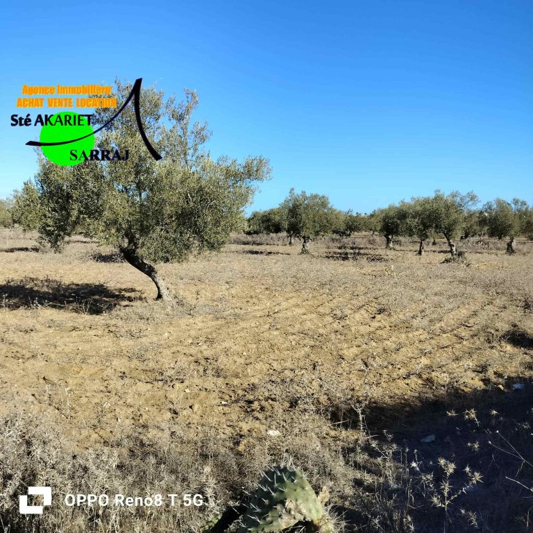 Lot d'investissement 1200m derri&egrave;re karting hergla