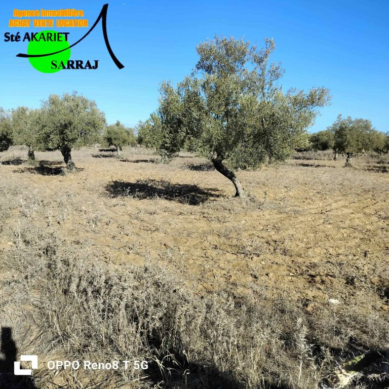 Lot d'investissement 1200m derri&egrave;re karting hergla