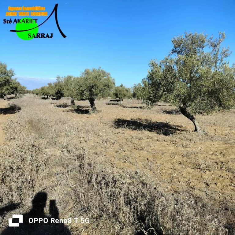 Lot d'investissement 1200m derri&egrave;re karting hergla